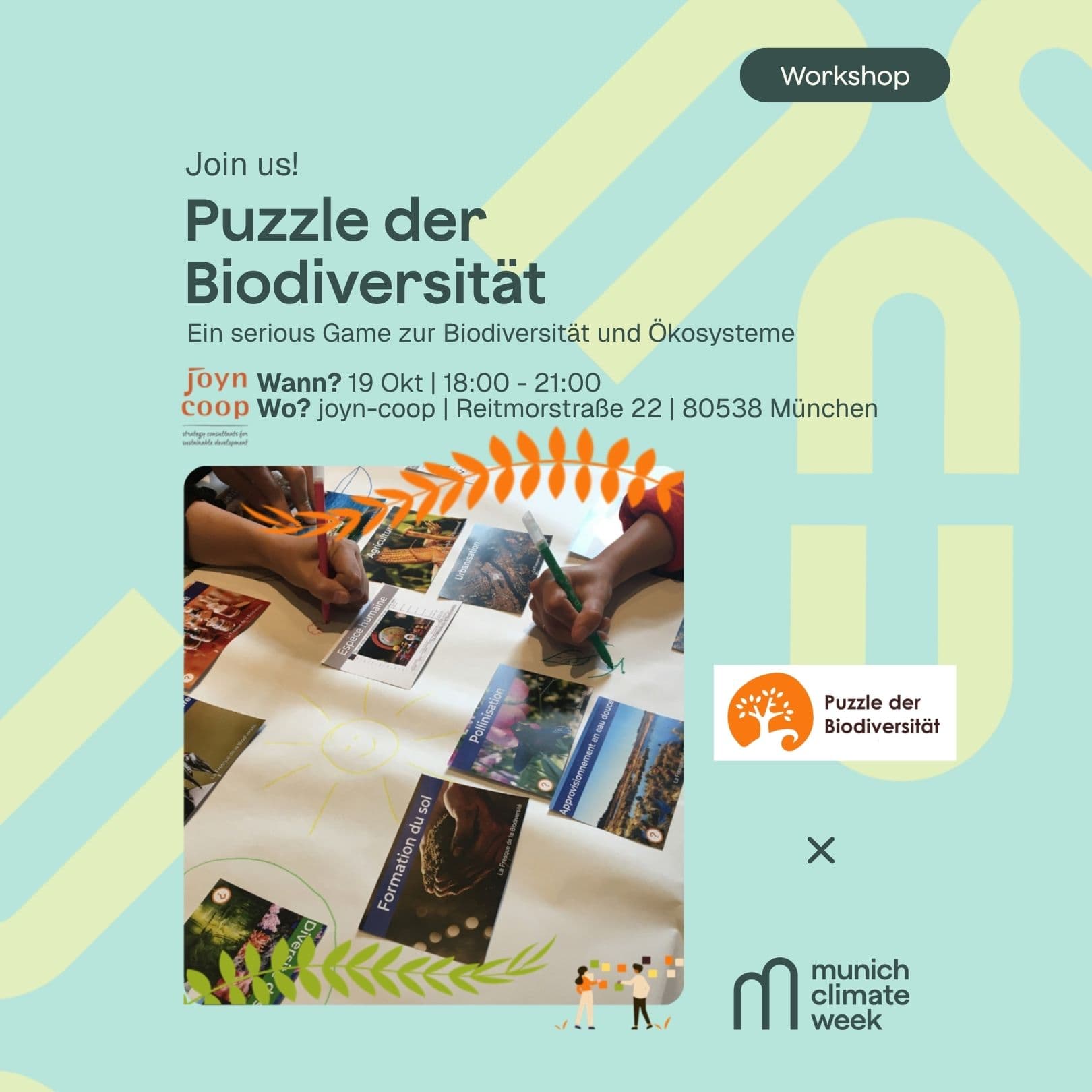 Puzzle der Biodiversität