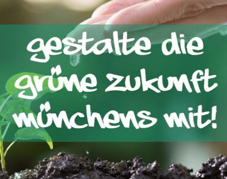 🌳🌿 Gemeinsam pflanzen – unsere grosse Herbst-Pflanzaktion!